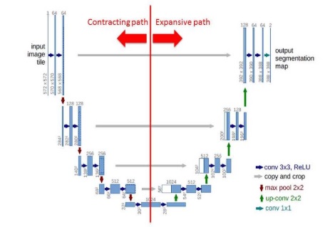 U-Net Architecture